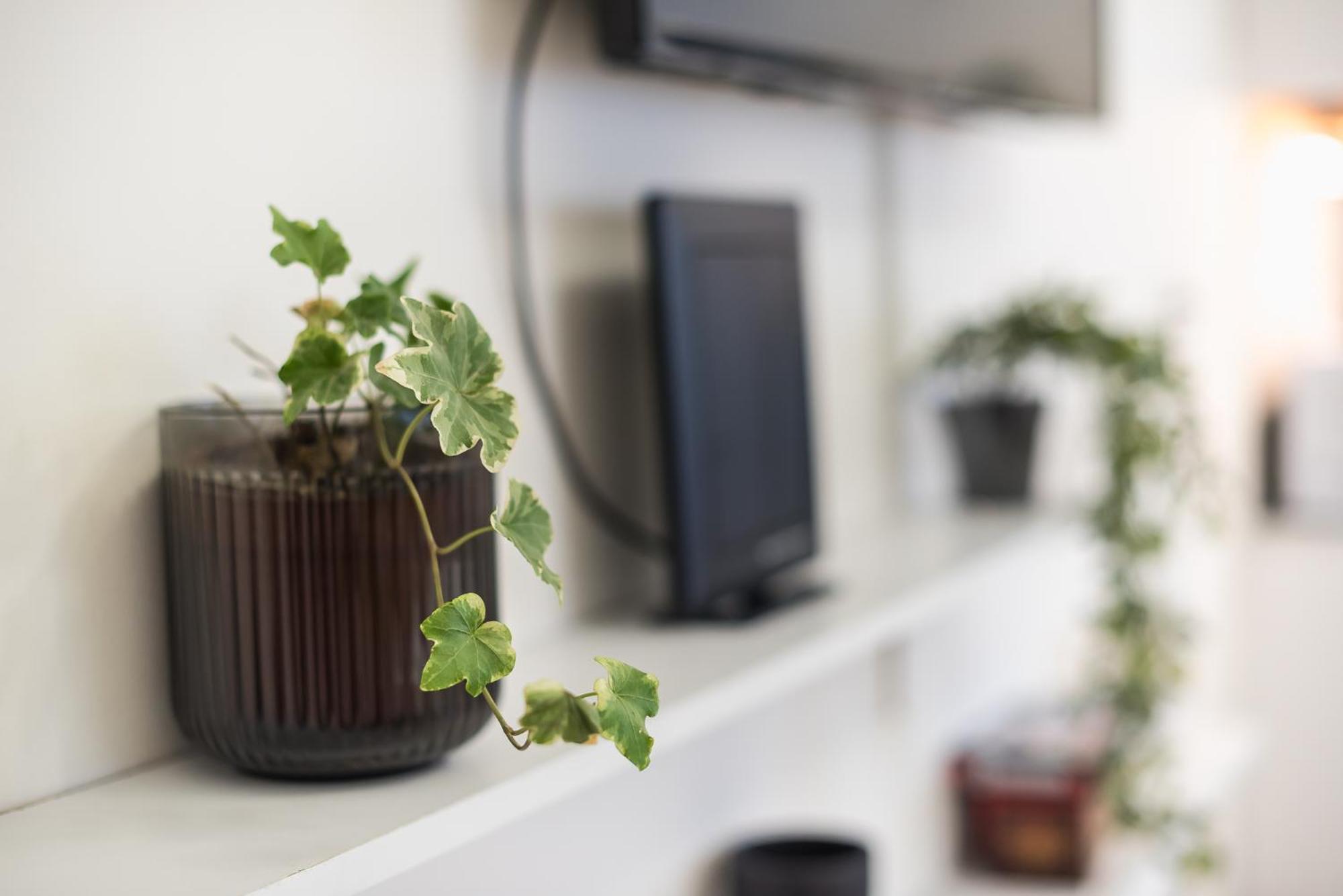 Modern Apartment 200M From Acropolis 100Mbps Netflix Афины Экстерьер фото